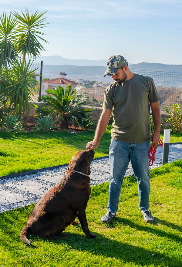 Dogsman Köpek Eğitimi