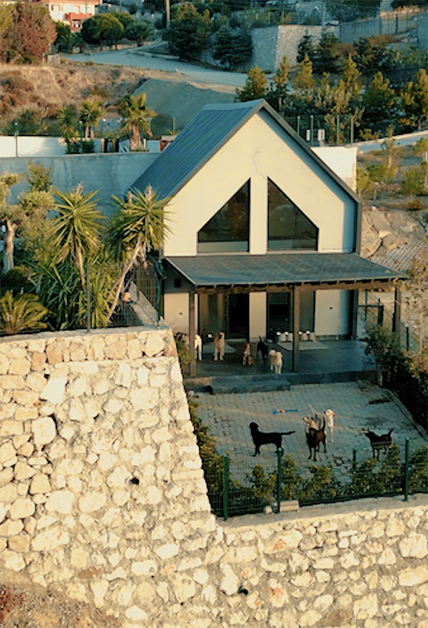 Dogsman Köpek Oteli