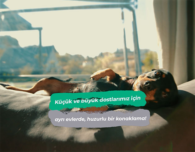 Dogsman Tanıtım Filmi